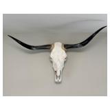 Bull Skull with Horns Wall Decor - Purchased from Ranch in Texas