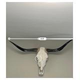 Bull Skull with Horns Wall Decor - Purchased from Ranch in Texas
