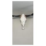 Bull Skull with Horns Wall Decor - Purchased from Ranch in Texas