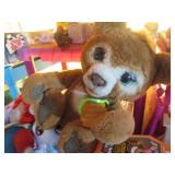 All toys and games pictured on shel...