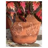 VERY Large Clay Potted Plant