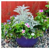 Purple Planter with Flowers