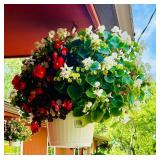 Flowers and Hanging Plant