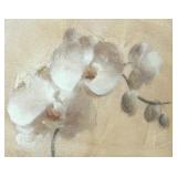 "White Orchid Crop" Print in Decorative Frame by Cheri Blum