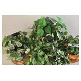 Faux Foliage Decor in Brass, Copper & Terra Cotta Planters