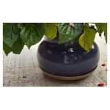 Large Planter with Red Salvia Plantings
