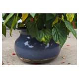 Large Planter with Red Salvia Plantings