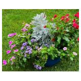 Large Tub Planter with Varietals