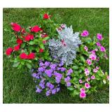 Large Tub Planter with Varietals