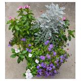 Lovely Floral Display in Plastic Planter
