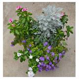 Lovely Floral Display in Plastic Planter