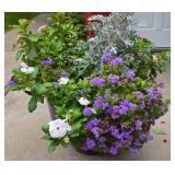 Lovely Floral Display in Plastic Planter