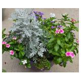 Lovely Floral Display in Plastic Planter