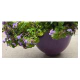 Lovely Floral Display in Plastic Planter