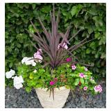 Pretty Potted Floral Varieties