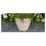 Pretty Potted Floral Varieties