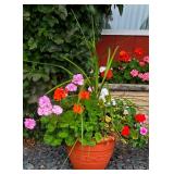 Pretty Garden Potted Plants