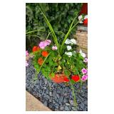Pretty Garden Potted Plants