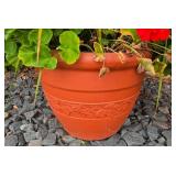 Pretty Garden Potted Plants