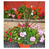 Pretty Potted Garden Plants