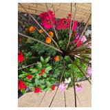 Pretty Potted Garden Plants