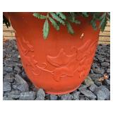 Pretty Potted Garden Plants