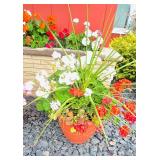 Pretty Potted Garden Plants