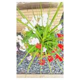 Pretty Potted Garden Plants