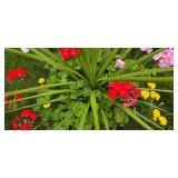 Lovely Floral Plantings