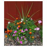 Large Planter Containing Marigolds & More