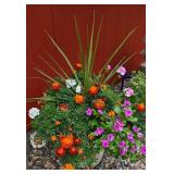 Large Planter Containing Marigolds & More