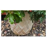 Large Planter Containing Marigolds & More