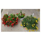 Trio of Hanging Planters