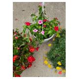 Trio of Hanging Planters