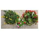 Trio of Hanging Planters