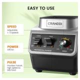 Cranddi Professional Smoothie Blender