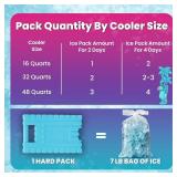Healthy Packs Miami Ice Large Ice Packs - 3 Pack