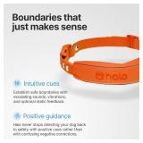 Halo Collar 4 Wireless Dog Fence and GPS Dog Collar