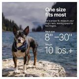 Halo Collar 4 Wireless Dog Fence and GPS Dog Collar