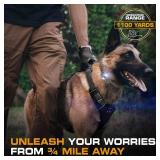 Invirox Shock Collar for Dogs
