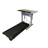Treadmill Sit to Stand Desk
