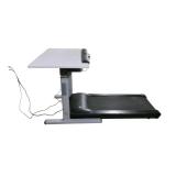 Treadmill Sit to Stand Desk