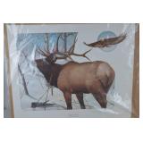 Wildlife Art Print Lot Signed by Ken Zylla and Others