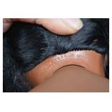 Vintage Doll Collection - Including Knowles Yolanda