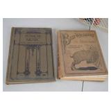 Vintage Books In A Basket.