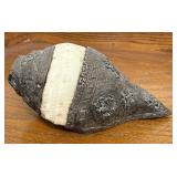 Vintage Tibetan Silver Decorated Conch Shell