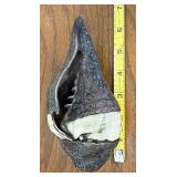 Vintage Tibetan Silver Decorated Conch Shell