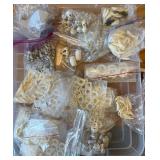 LARGE LOT of White Beads Including Skulls and MANY Coyote Teeth - Lot #8