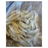 LARGE LOT of White Beads Including Skulls and MANY Coyote Teeth - Lot #8