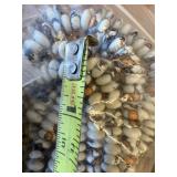 LARGE LOT of White Beads Including Skulls and MANY Coyote Teeth - Lot #8